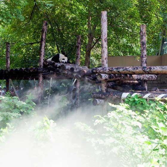 北京动物园11335