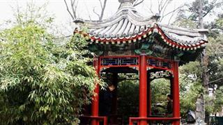 恭王府沁秋亭有什么好看的