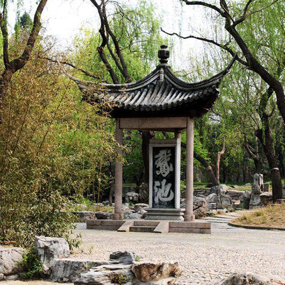 北京陶然亭公园11464