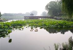 圆明园茜园有什么好看的