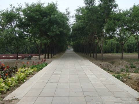 圆明园遗址公园11092