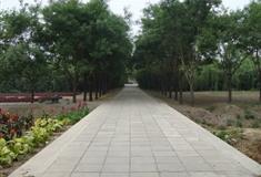 圆明园鱼跃鸢飞有什么好看的