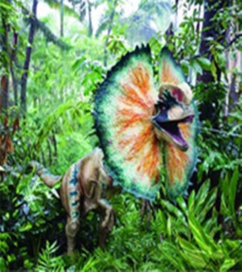 长隆野生动物世界10567