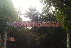 长隆野生动物世界白虎剧场有什么好看的