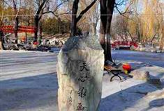 圆明园天心水面有什么好看的