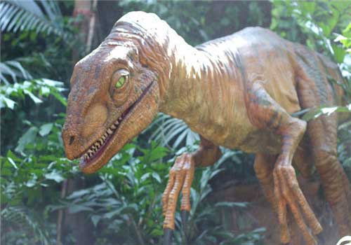 长隆野生动物世界迅猛龙