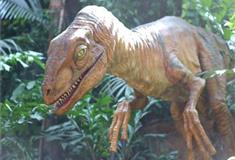 长隆野生动物世界迅猛龙有什么好看的