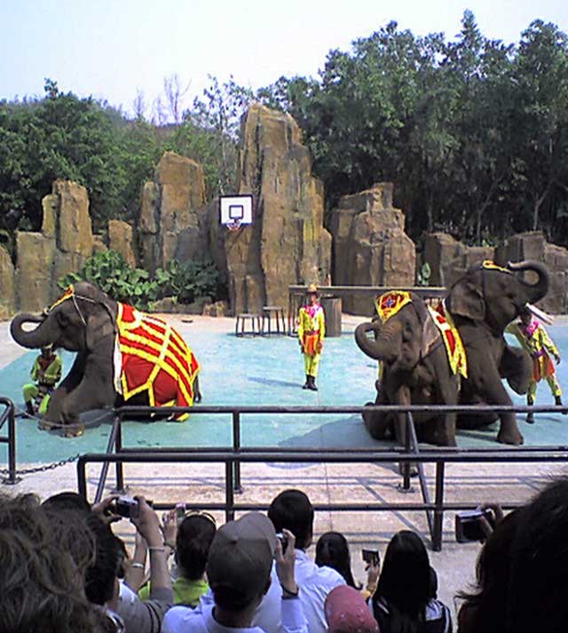 长隆野生动物世界大象剧场
