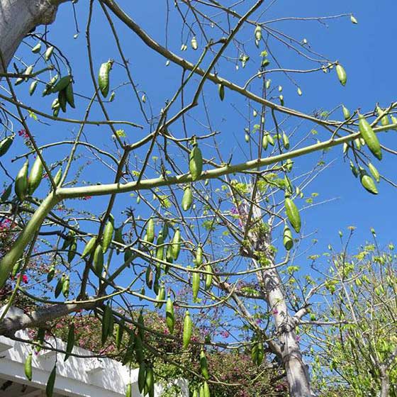 南山文化旅游区11648