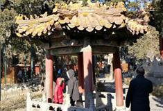 故宫博物院御花园东井亭有什么好看的