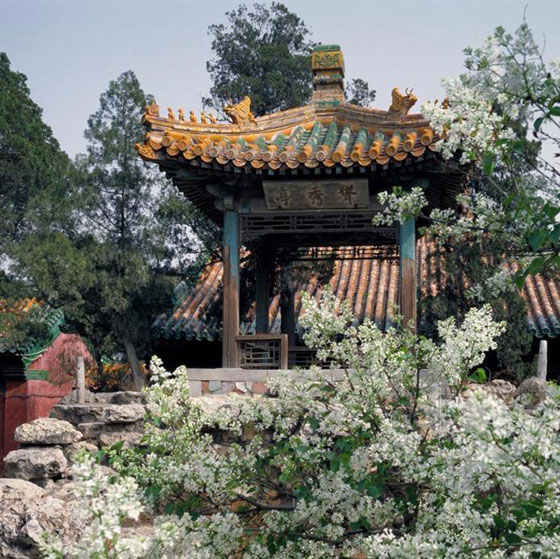 故宫博物院耸秀亭