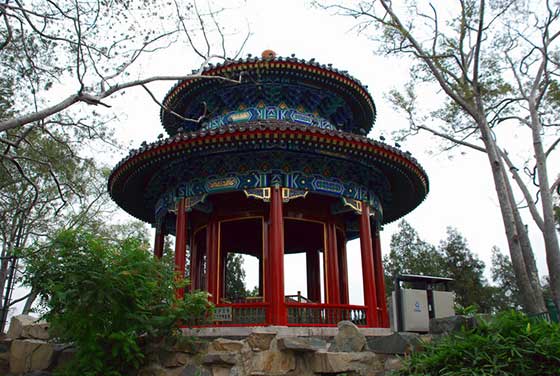 北京景山公园11358