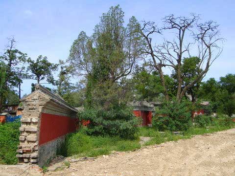 圆明园清夏斋 圆明园清夏斋
