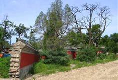 圆明园清夏斋有什么好看的