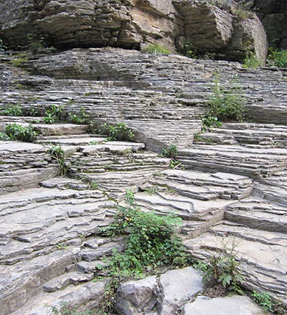 红豆峡景区11385