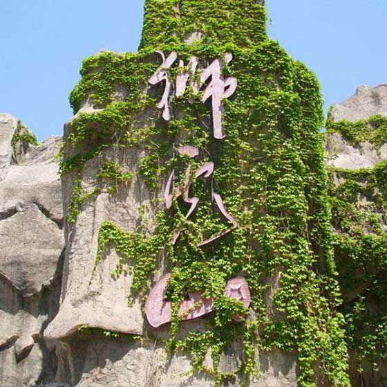 北京动物园11337