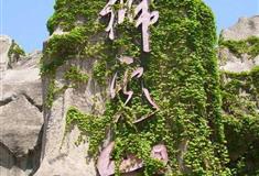 北京动物园狮虎山有什么好看的