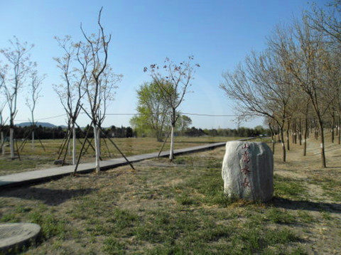 圆明园遗址公园11077