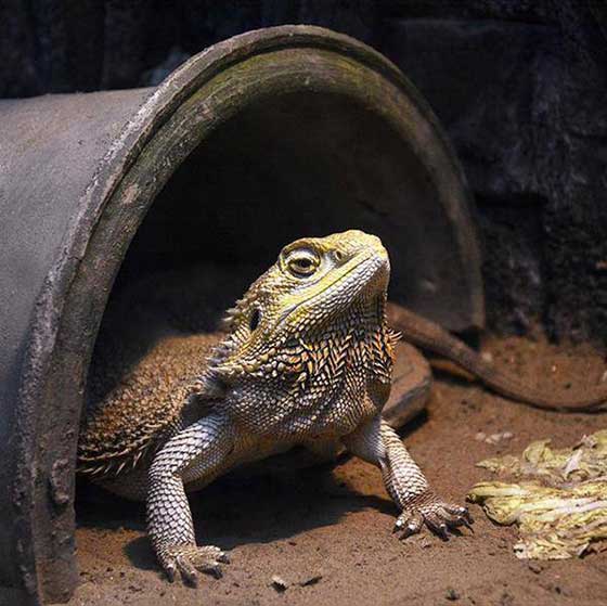 北京动物园11349