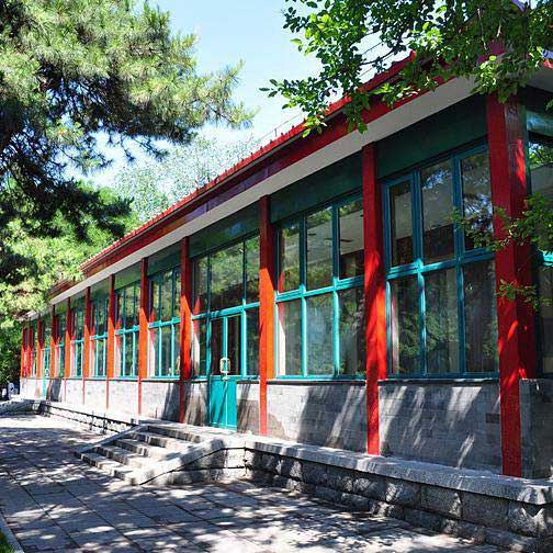 北京动物园11339