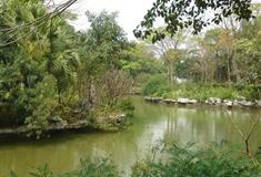 粤晖园四季花坞有什么好看的