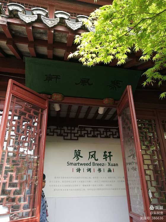 上海大观园10894