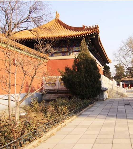 北京景山公园11353