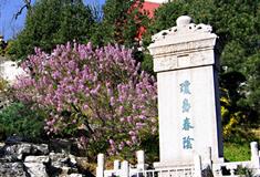 北海公园琼岛春荫碑有什么好看的