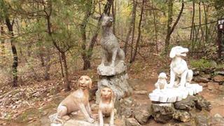 红螺寺十二生肖园有什么好看的