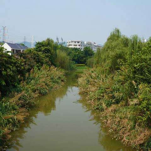 广州南海神庙10607