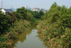 南海神庙明码头遗址有什么好看的