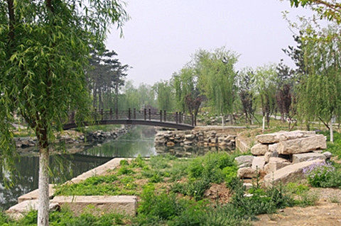 圆明园遗址公园11071