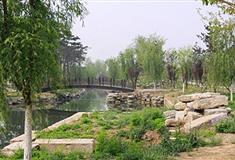 圆明园水木明瑟有什么好看的