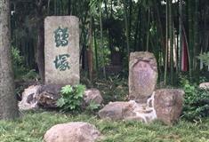 扬州大明寺鹤冢有什么好看的