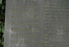 开平立园连理树有什么好看的