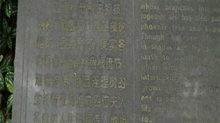 开平立园连理树有什么好看的