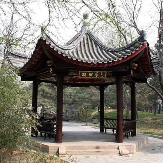 北京陶然亭公园11463