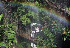 深圳世界之窗的亚马逊河有什么好看的