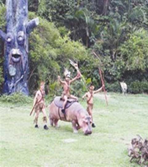 长隆野生动物世界非洲动物表演场