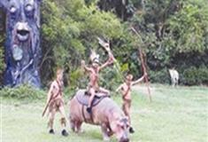 长隆野生动物世界非洲动物表演场有什么好看的