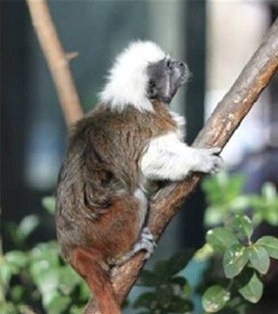 北京动物园11329