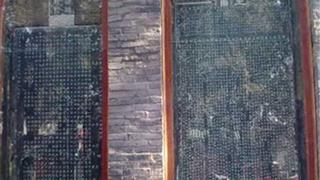 嵩山少林寺太宗文皇帝御书碑有什么好看的