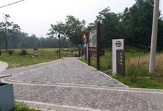 圆明园坐石临流有什么好看的