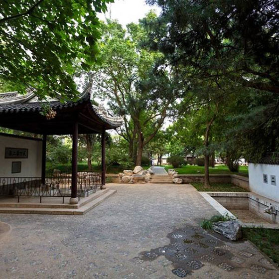 北京陶然亭公园11465