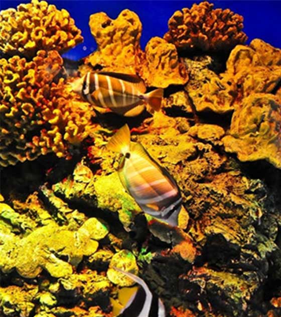 北京动物园11331