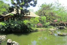 深圳世界之窗的鸟居有什么好看的