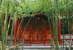 恭王府香雪坞有什么好看的