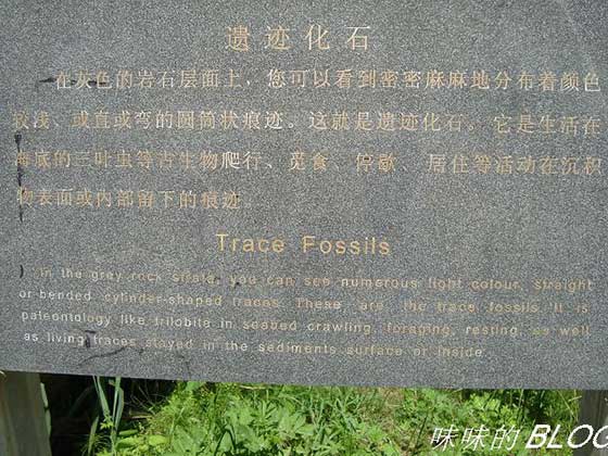 红豆峡景区11379