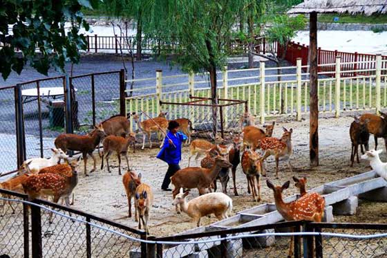 南山文化旅游区11633