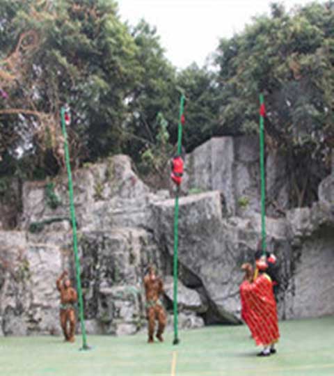 长隆野生动物世界花果山
